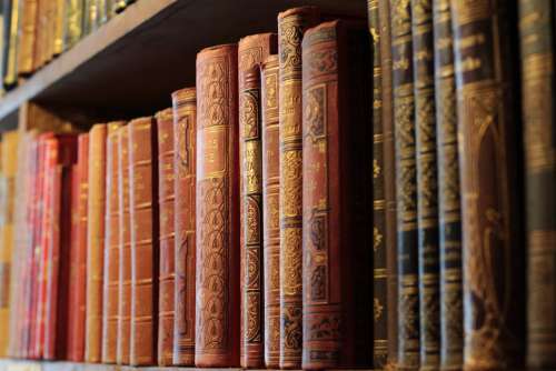 Books Antiquariat Tübingen Old Read