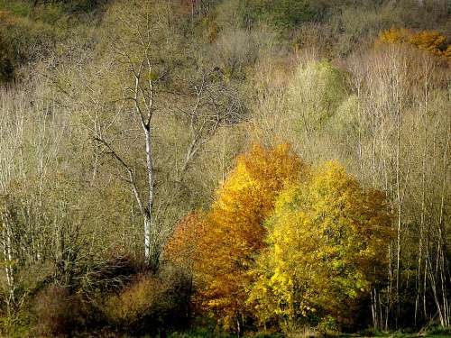 Autumn Landscape Fall Wood Hill Fall Colors