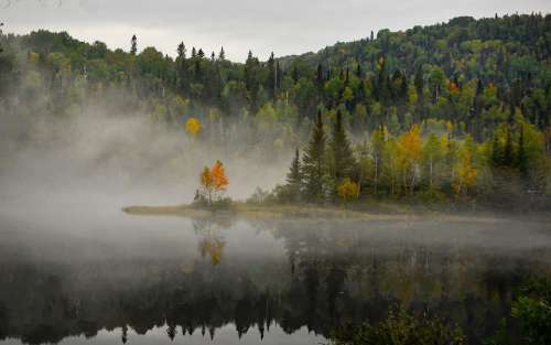 Landscape Nature Fog Trees Colors Fall Lake