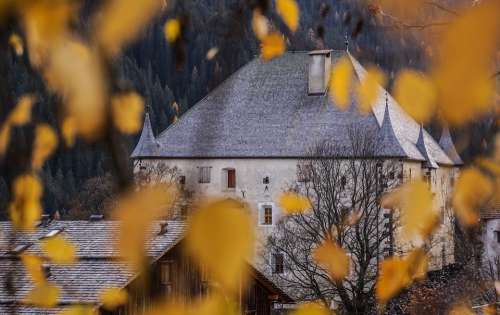 Castle Hungary Leaves Autumn Budapest Architecture