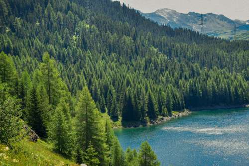 Trees Lake Swiss Nature Forest Summer Mountains