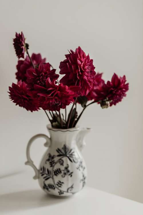 Still Life Dahlia Romantic Blossom Vase