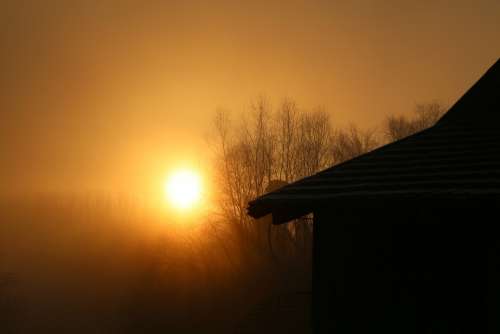 Morning Mood Landscape Nature Sunrise Fog Trees