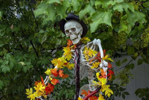 Flowered Skeleton