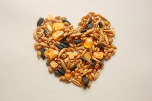 pet feed seeds corn wheat oats