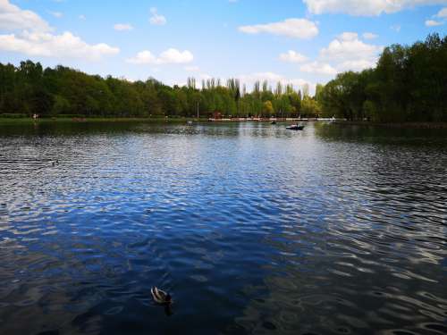 pond ducks lake moscow blue