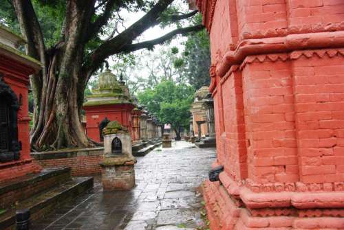 nepal monument trees rain brick