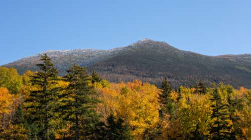 autumn foliage landscape mountain trees