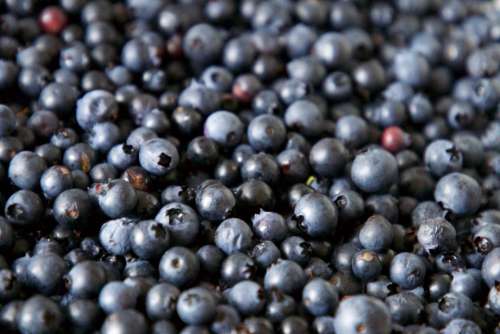 blueberries background food berry fresh