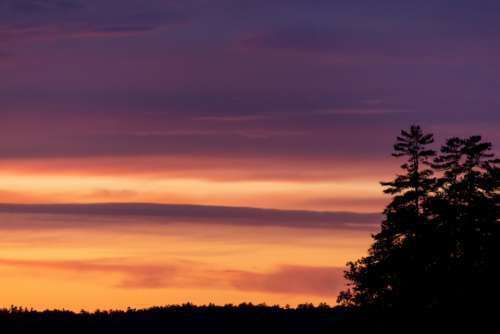 sunset clouds trees silhouette nature