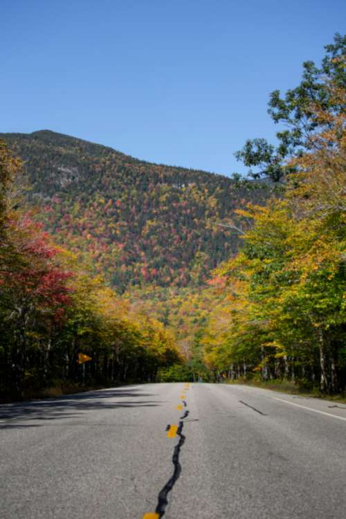 autumn foliage road mountain travel