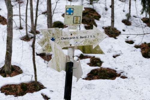 Dirty Sign Indicating a Forest Path