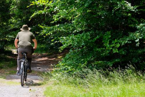Man Riding a Bicycle in the Forest