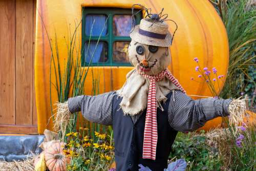 Halloween Scarecrow Decoration with a Spider on Its Hat in Front of a Pumpkin House