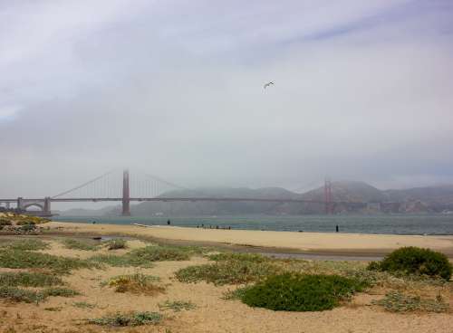 Foggy Golden Gate Photo