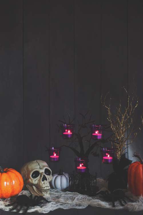 Spooky Halloween Scene Photo