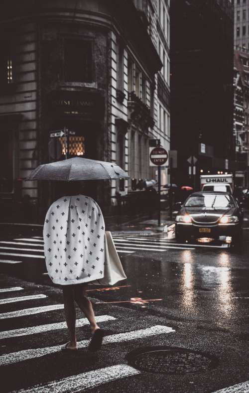 Rainy Crosswalk Photo
