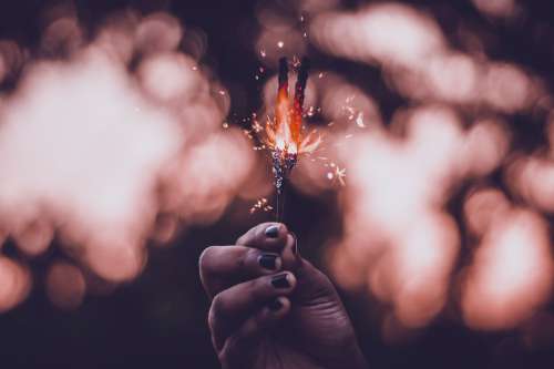 Low-Stemmed Sparkler Photo