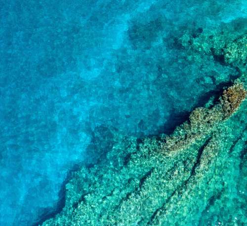 Overhead View Of Pristine Coral Reef Photo
