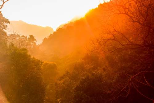 Golden Sunrise Over Tree-Lined Hills Photo