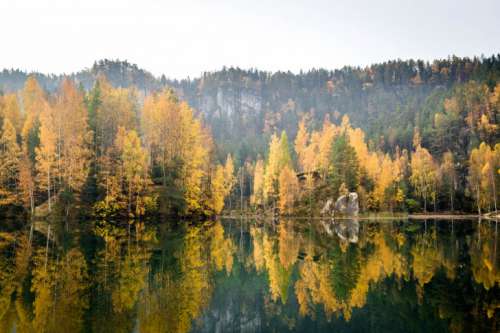Autumn forest with a lake