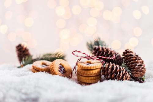 Christmas Still Life with Space for Text Free Photo