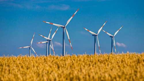 Pinwheel Field Cereals Sky Wind Energy Wind Power