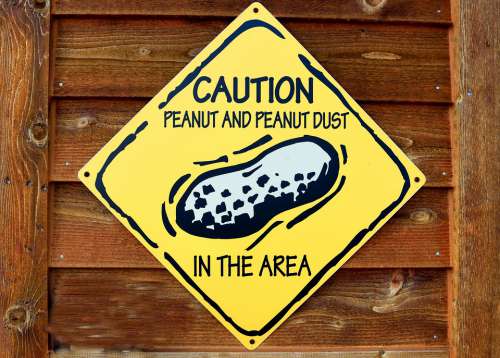Sign Caution Peanuts Warning Attention Alert