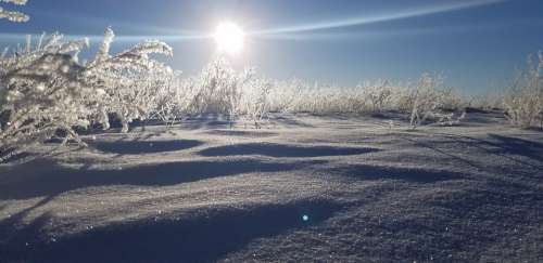 Sunrise Ice Field Winter Ice Crystals