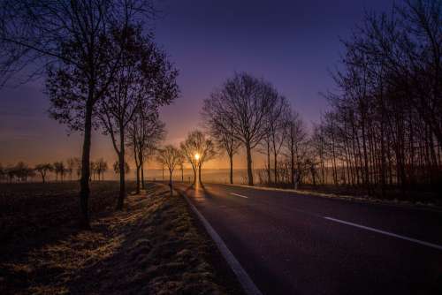 Road Sunrise Trees Avenue Yellow Blue Lighting