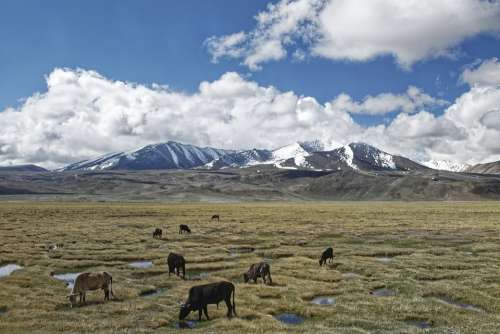 Tajikistan The Pamir Mountains Pamir Plateau