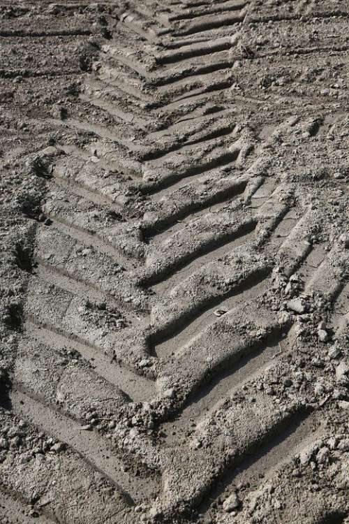 Trace Sand Summer Pattern Tire Tracks Landscape
