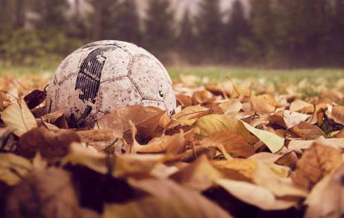 Football Autumn Leaves Sport Season Play