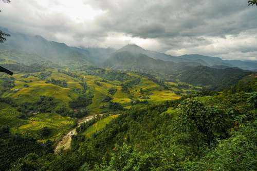 Mountains And Hills Forest Trees Rice Fields Step