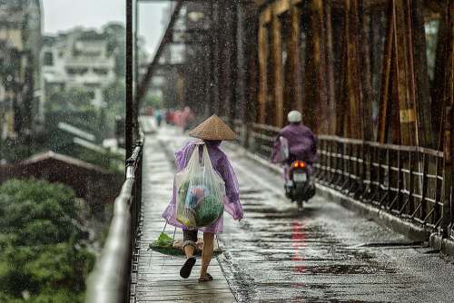 Season Bridge Wet People Street Woman Asia