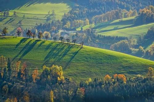 Landscape Autumn Green Reported Fields Nature