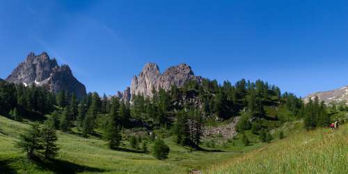 Panoramique Alpes Montagnes Nature Sapin