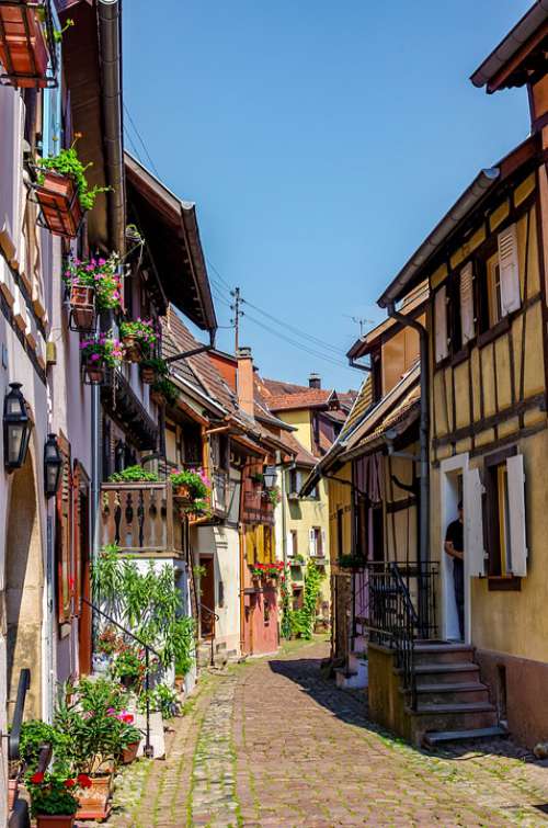 Alsace Summer France Truss Floral Decorations