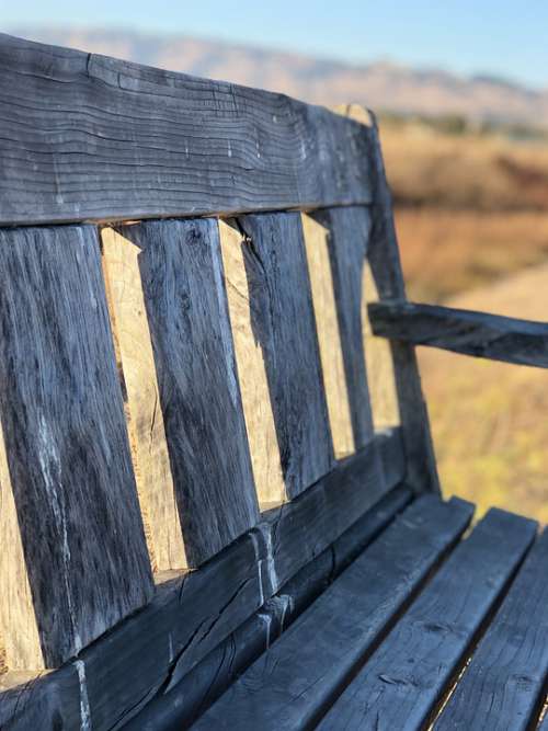 Bench Peaceful Park Rest Landscape Freedom