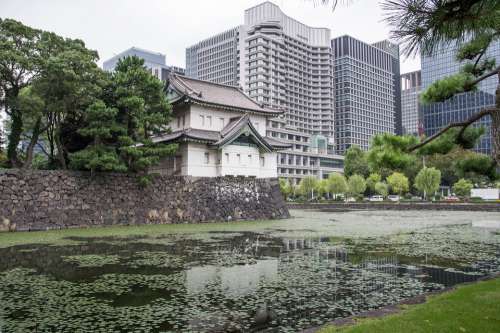 Japan Tokyo Buildings Wall Gardens Lake