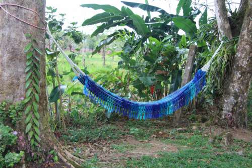 Blue Hammock