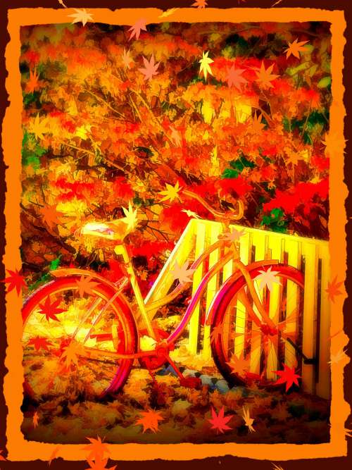 Autumn Bike