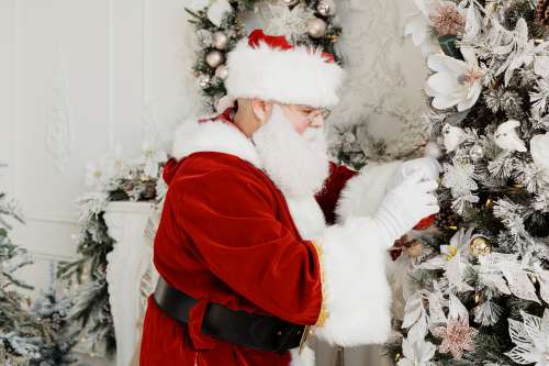 Santa Decorates Photo