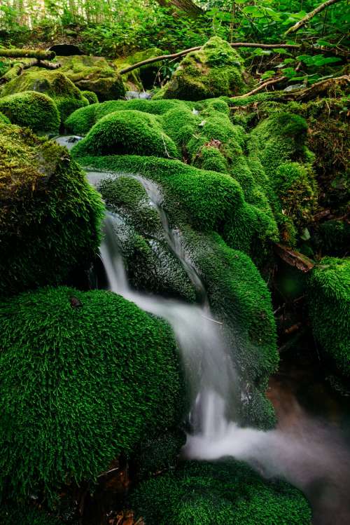 Water Flows Down Mossy Rocks Photo