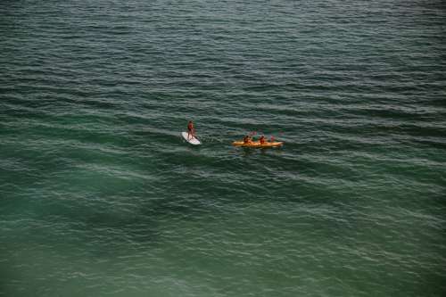 Adventurists Paddle On Open Green Water Photo