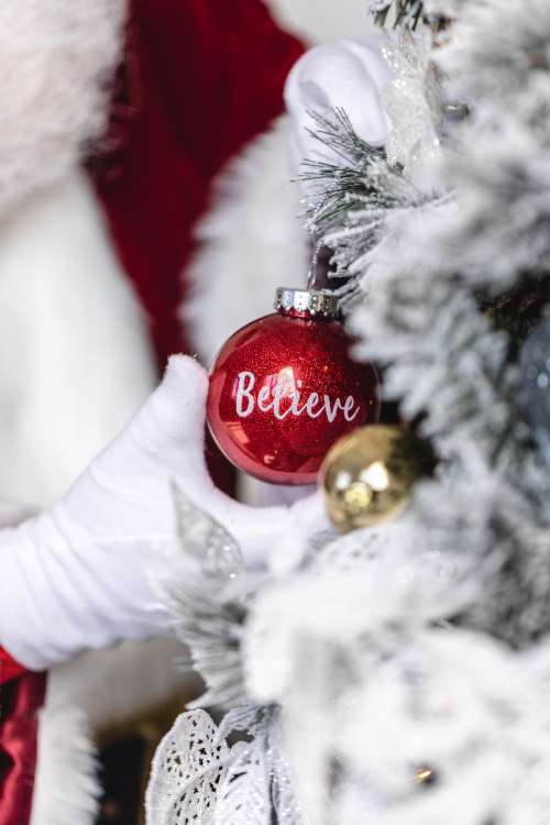 Believe Ornament Photo