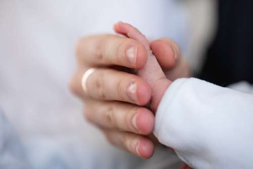 Mom and Newborn Hands Photo