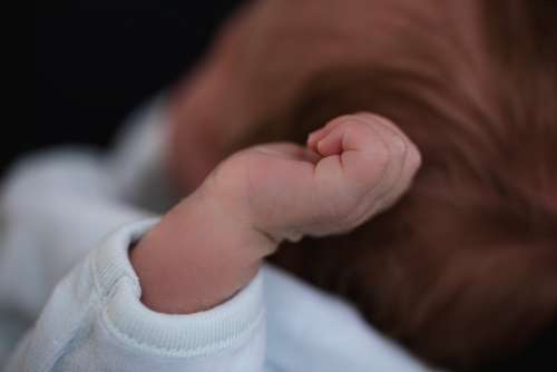 Newborn Baby Hand Photo