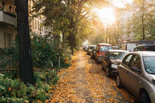 Quiet Fall Morning On Urban Street Photo