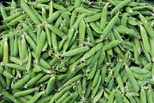 Full frame of sweet green peas